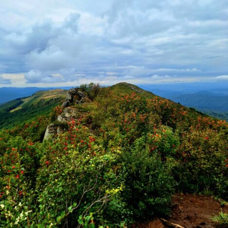 Połonina Caryńska – droga przez trawy, wiatr i ciszę