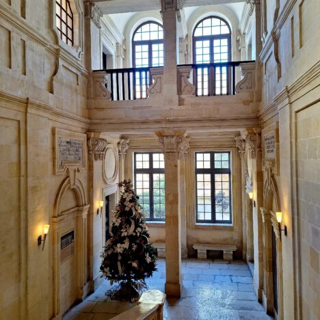 Klify, cisza i cień drzew – mniej oczywista strona Malty